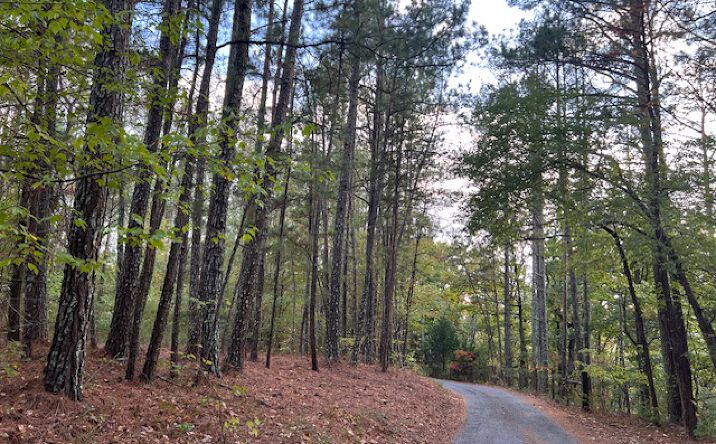 Pictures of Land property located at 100 Valley View Dr NW, Cartersville, GA 30121 for sales - image #1