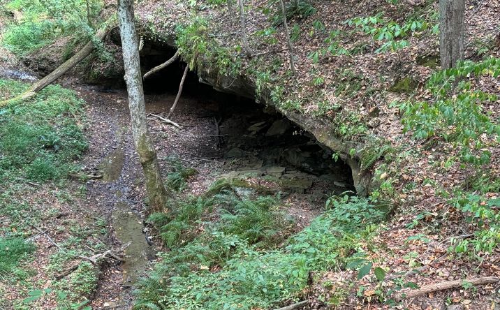 Pictures of Land property located at 41455 State Route 684, Albany, OH 45710 for sales - image #1