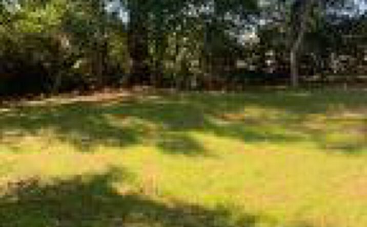 Pictures of Mixed Use property located at 1436 Heard Avenue, Augusta, GA 30904 for sales - image #1