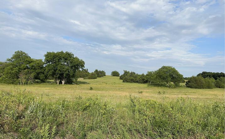 Pictures of Land property located at 999 Hall Rd, Sherman, TX 75090 for sales - image #1