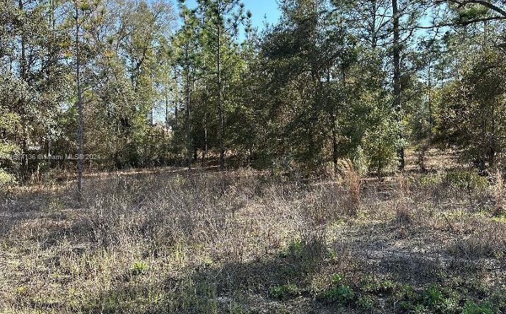 Pictures of Special Purpose property located at Southwest Admiral Landing Dr Dunnellon., Ocala, FL 34431 for sales - image #1