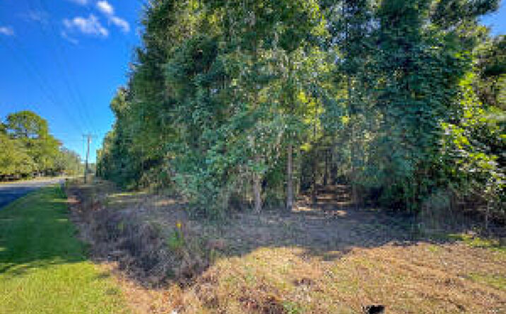 Pictures of Land property located at Lot 6 Hard Pitch Road, Moncks Corner, SC 29461 for sales - image #1
