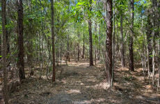 20532181