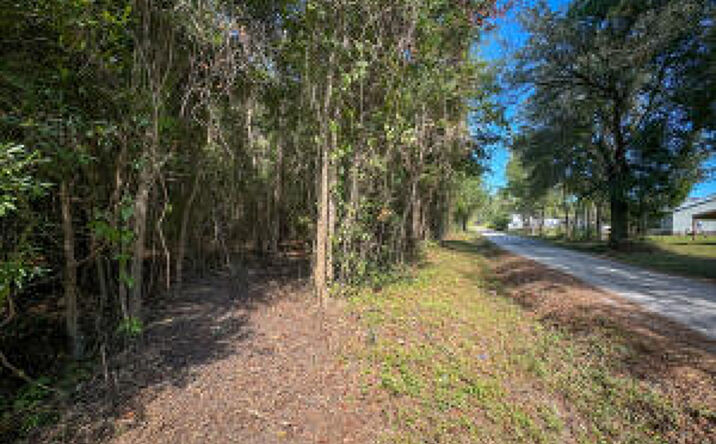 Pictures of Land property located at Lot 5 Hard Pinch Road, Moncks Corner, SC 29461 for sales - image #1