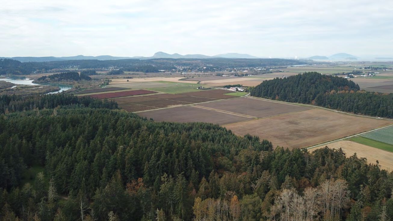 12672 Staffanson Ln, Mount Vernon, WA 98273