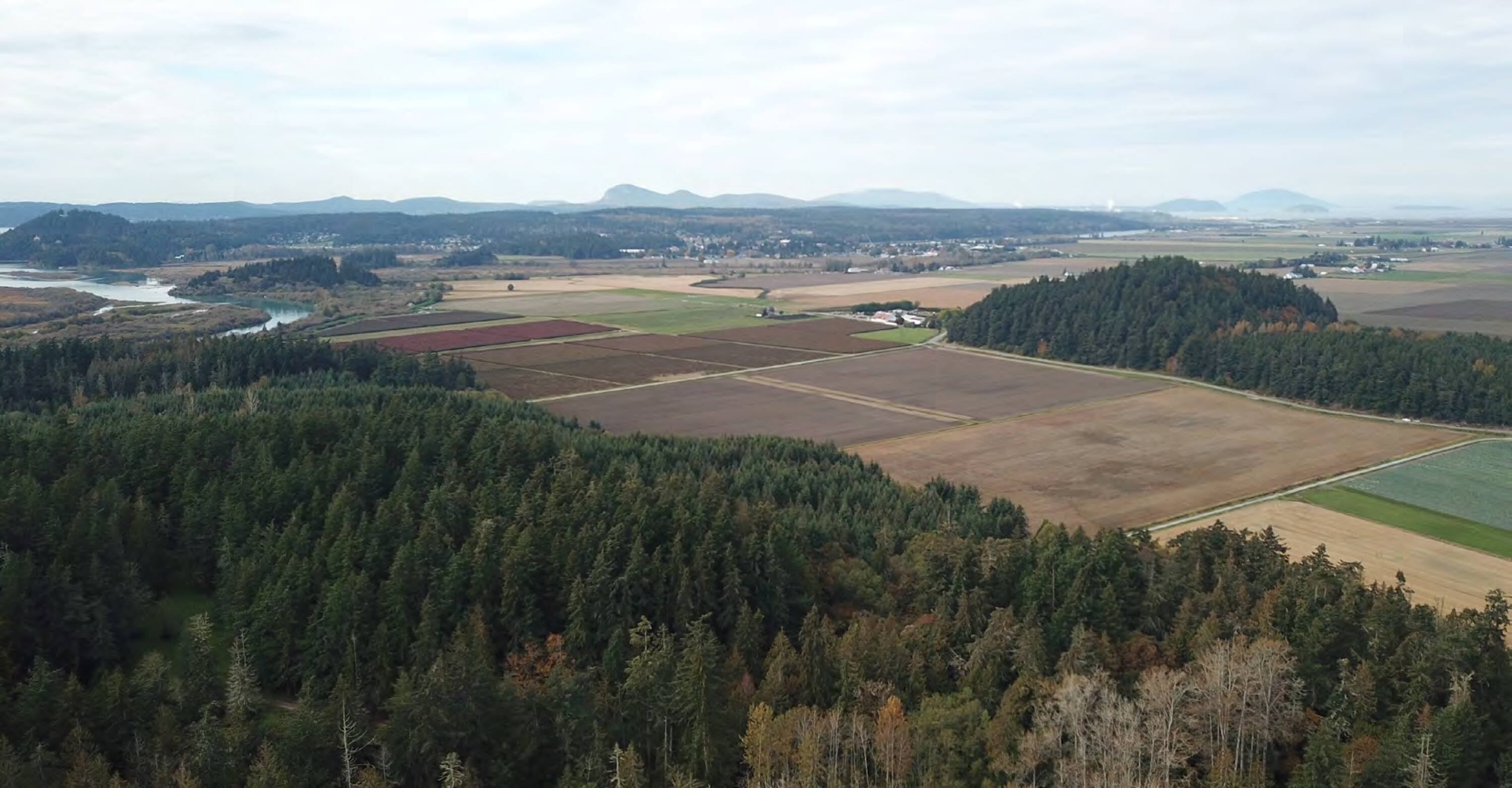 12672 Staffanson Ln, Mount Vernon, WA 98273