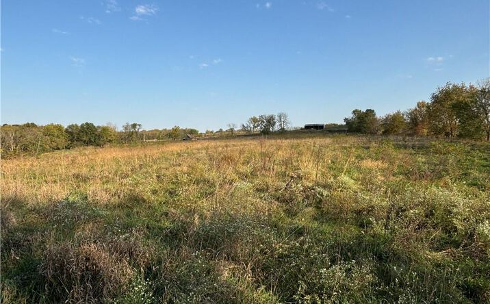 Pictures of Land, Special Purpose property located at 11009 SE DD Highway, Gower, MO 64454 for sales - image #1