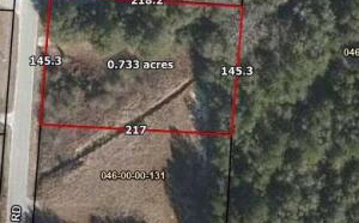 Pictures of Land property located at A Shad Road, Williston, SC 29853 for sales - image #1