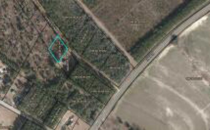 Pictures of Land property located at Lot 7 Oyster Trail, Williston, SC 29853 for sales - image #1