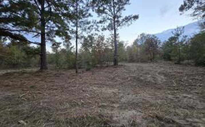 Pictures of Land property located at Lot 9 Oyster Trail, Williston, SC 29853 for sales - image #1
