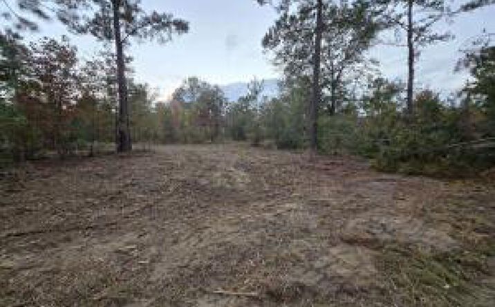 Pictures of Land property located at Lot 11 Oyster Trail, Williston, SC 29853 for sales - image #1