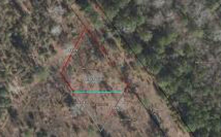 Pictures of Land property located at 4 Ac Tbd Shad Road, Williston, SC 29853 for sales - image #1