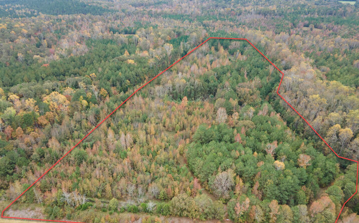 Pictures of Land property located at 00 S. Pine Street/Highway 176, Pacolet, SC 29372 for sales - image #1