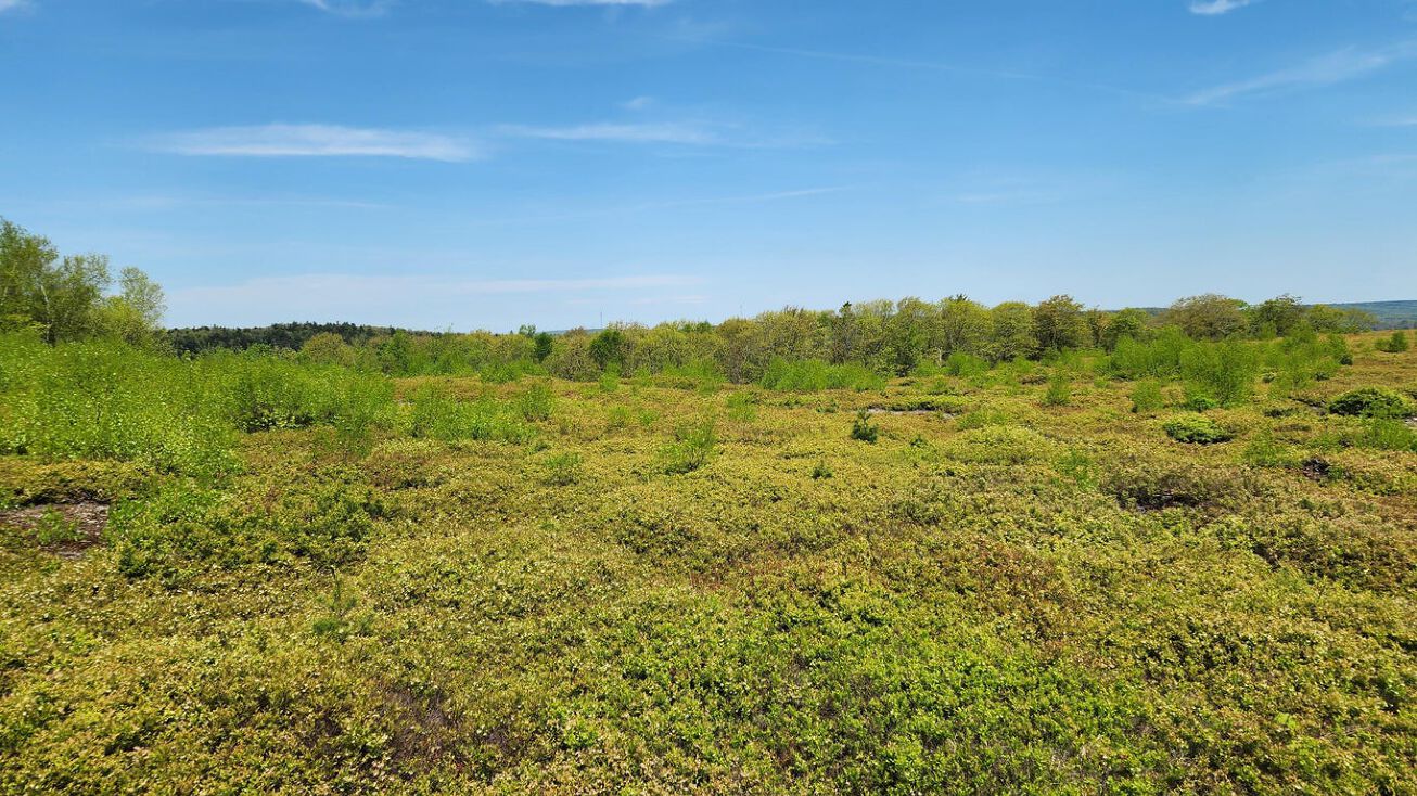 3 Whispering Berries Hill, Liberty, ME 04949