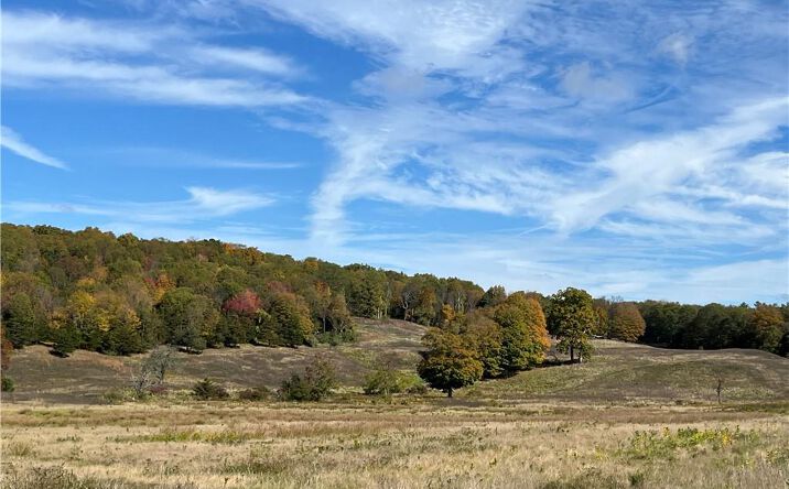 Pictures of Land property located at Woodward Hill,Stissng Mount, Hicks Hill, Route 199, Pine Plains, NY 12567 for sales - image #1