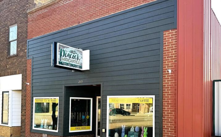 Pictures of Retail property located at 213 S Main St, Hettinger, ND 58639 for sales - image #1