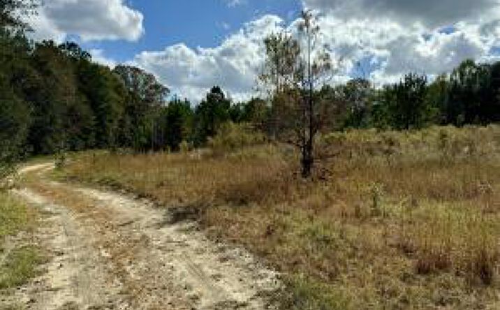 Pictures of Land property located at 00 Jerusalem Branch Road, Salley, SC 29137 for sales - image #1