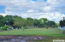 20564791