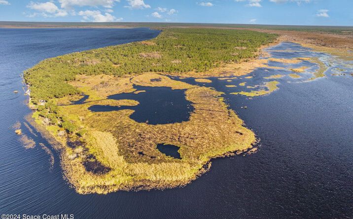 Pictures of Land, Special Purpose property located at No Road Access Road, Osteen, FL 32764 for sales - image #1