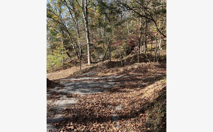 Pictures of Land property located at Cane Creek Rd, Hohenwald, TN 38462 for sales - image #1