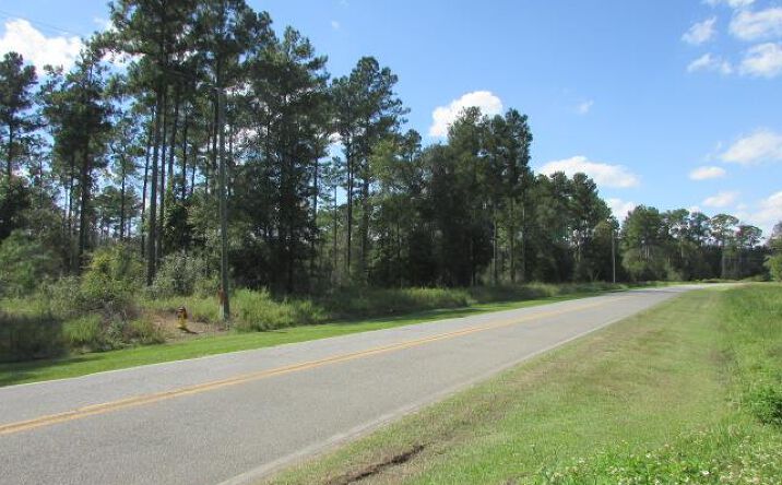 Pictures of Land property located at 000 Thompson Town Rd, Colquitt, GA 39837 for sales - image #1