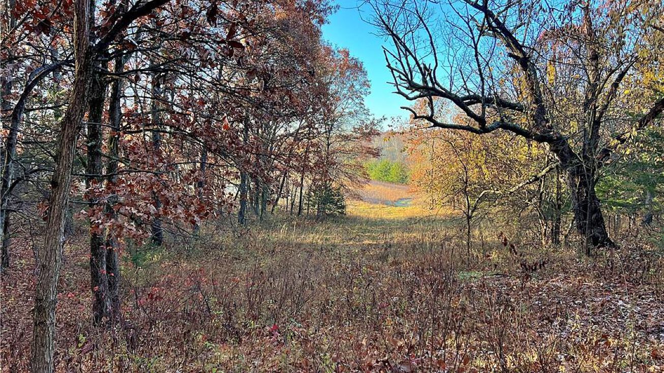 NW 52nd Street, Trenton, MO 64683