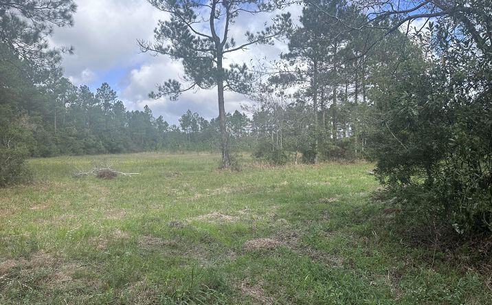 Pictures of Land property located at Michael Drive, Moss Point, MS 39562 for sales - image #1