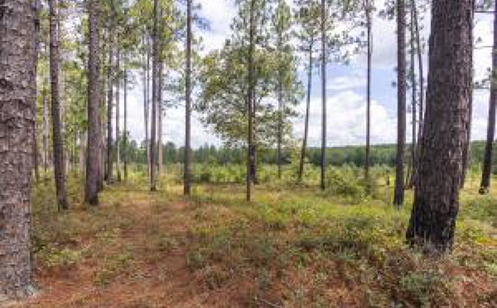 Pictures of Land property located at 00 Dragstrip Road, Aiken, SC 29803 for sales - image #1