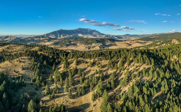 Pictures of Land property located at 495 Moffit Gulch Road, Bozeman, MT 59715 for sales - image #1