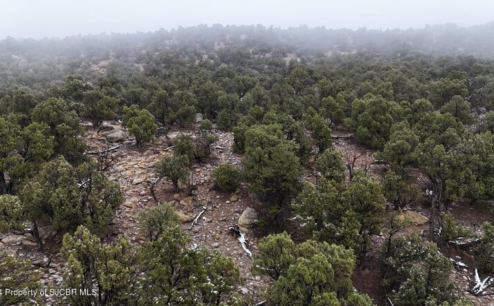 Pictures of Land property located at XXX 2.405 AC NM 511, Navajo Dam, NM 87419 for sales - image #1