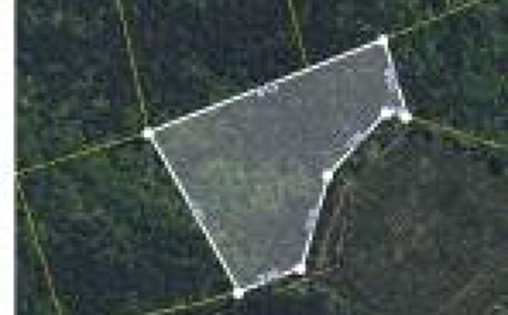 Pictures of Land property located at Lot D 6 Acres Daniel Avenue, Johnston, SC 29832 for sales - image #1