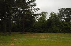 20602845