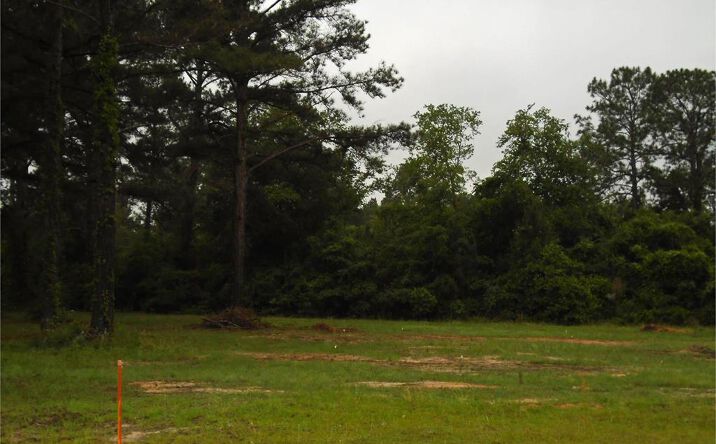 Pictures of Land property located at Lot 20 Will Road, Moultrie, GA 31768 for sales - image #1