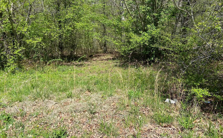 Pictures of Land, Multifamily property located at 00 Woodland Drive, Henderson, TN 38340 for sales - image #1