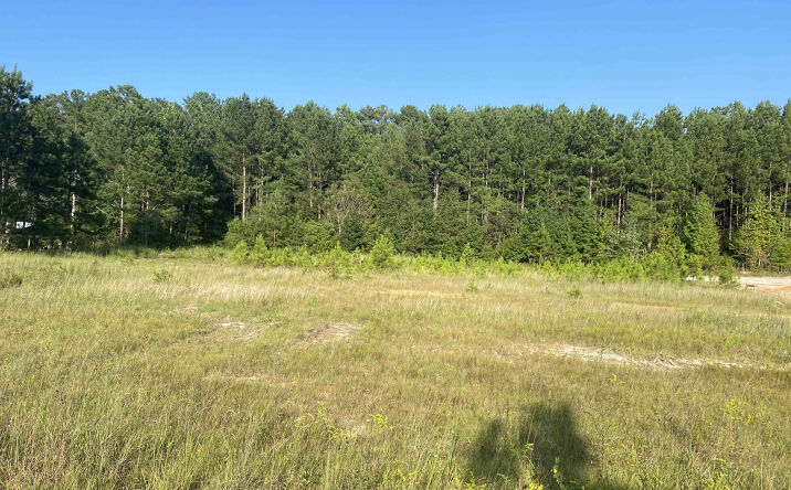 Pictures of Land property located at 000 College St, Lexington, TN 38351 for sales - image #1
