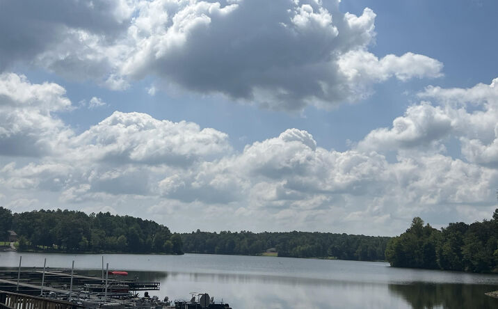 Pictures of Land property located at 116 Zara Spook (Lot 139), Cedar Grove, TN 38321 for sales - image #1