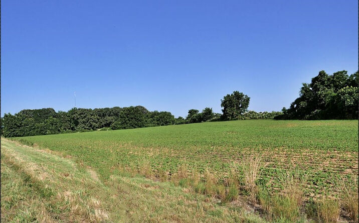 Pictures of Land property located at 0 Brownsville Hwy, Denmark, TN 38391 for sales - image #1