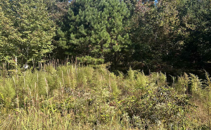 Pictures of Land property located at Lot 103 Oak Point Drive Drive, Lexington, TN 38351 for sales - image #1