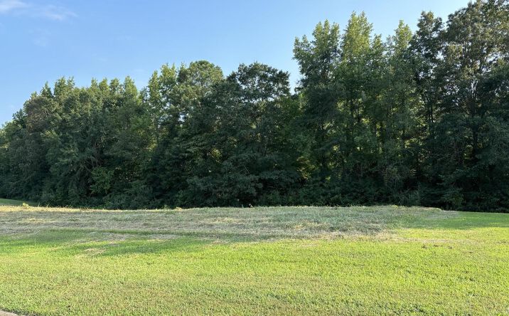 Pictures of Land property located at Lot 82 Derek Dr Drive, Lexington, TN 38351 for sales - image #1