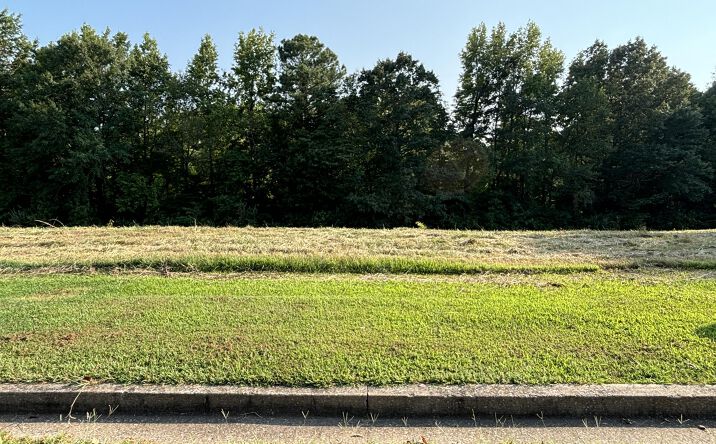 Pictures of Land property located at Lot 83 Derek Dr Drive, Lexington, TN 38351 for sales - image #1