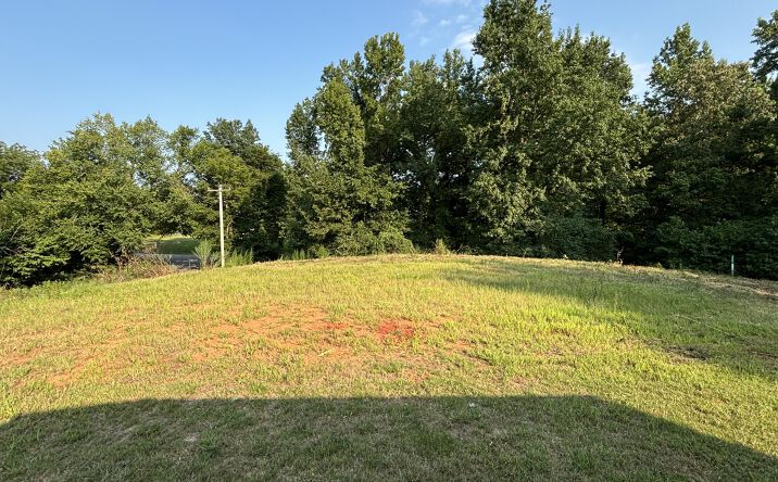 Pictures of Land property located at Lot 87 Derek Dr Drive, Lexington, TN 38351 for sales - image #1