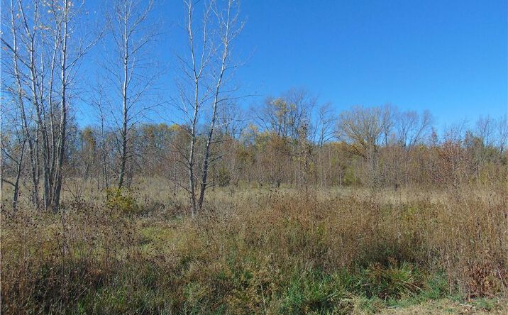 Pictures of Land property located at Krissy Bend Drive, Harrisonville, MO 64701 for sales - image #1