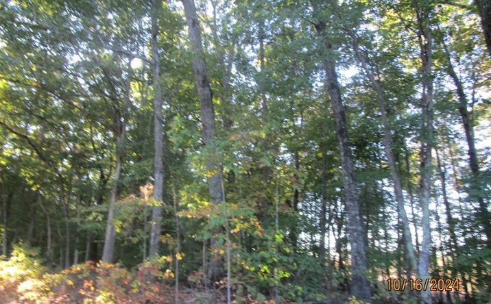 Pictures of Land property located at Rubermont Rd, Victoria, VA 23974 for sales - image #1