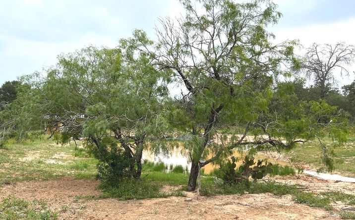 Pictures of Land property located at 606 Sherrywood Ln, San Antonio, TX 78264 for sales - image #1