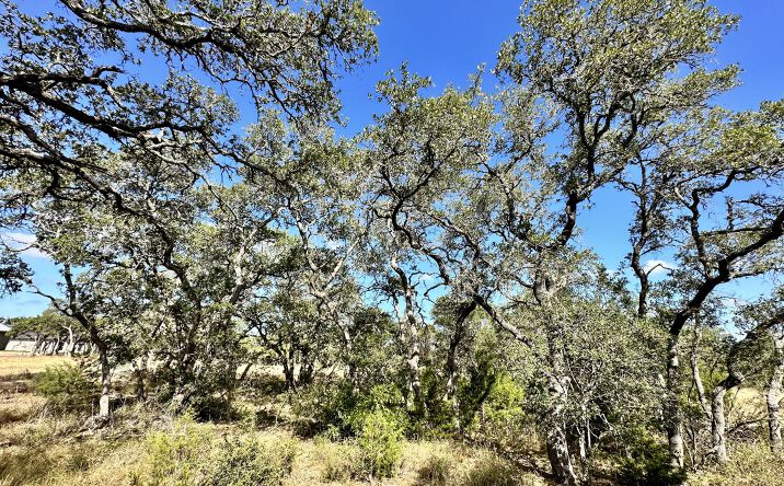 Pictures of Land property located at 34676 Ansley Ridge Trl, Bulverde, TX 78163 for sales - image #1