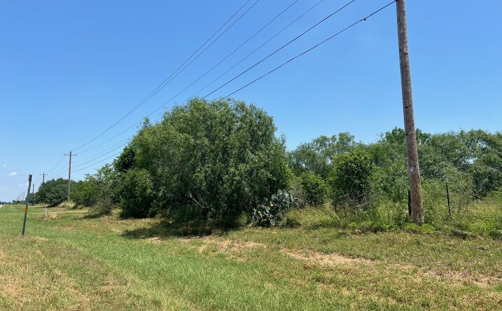 Pictures of Land property located at Tbd S Hwy 281, Leming, TX 78064 for sales - image #1