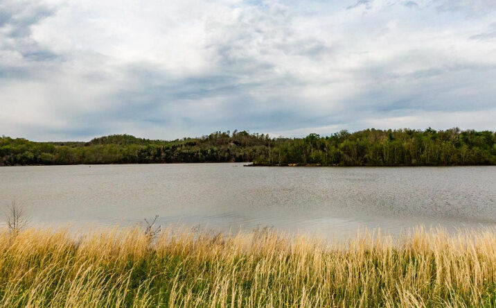 Pictures of Land property located at 1823 Hardin Bottom Road, Clifton, TN 38425 for sales - image #1