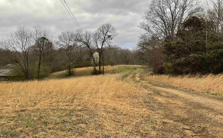 Pictures of Land property located at 387 Old Huntingdon Street, Lexington, TN 38351 for sales - image #1