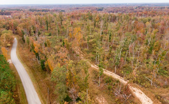 Pictures of Land, Multifamily property located at xxxx MOUSE TAIL Road, Parsons, TN 38363 for sales - image #1
