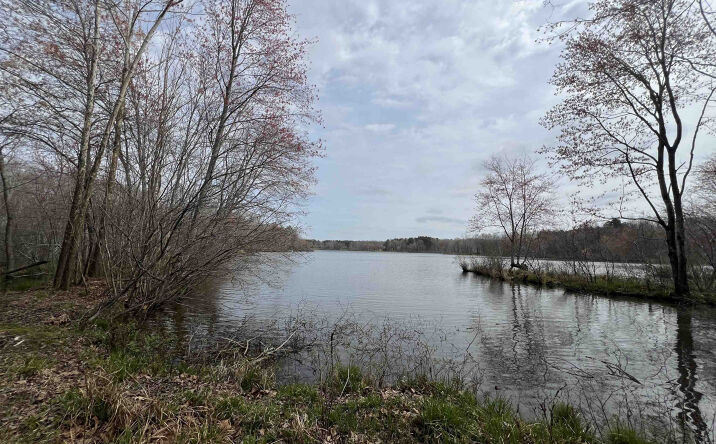 Pictures of Land property located at 0 Excalibur Trail (Lot 234), Cedar Grove, TN 38321 for sales - image #1